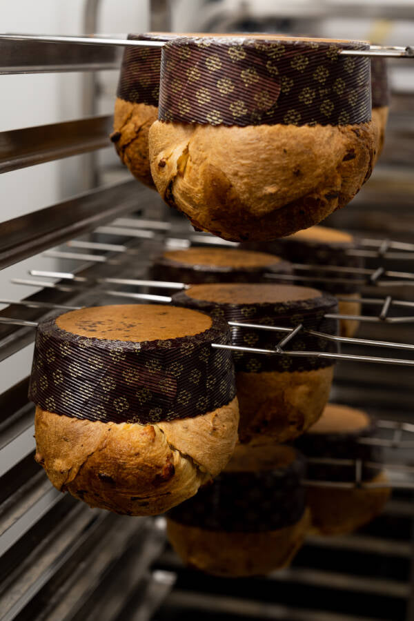 Panettone à la fleur d'oranger Louie
