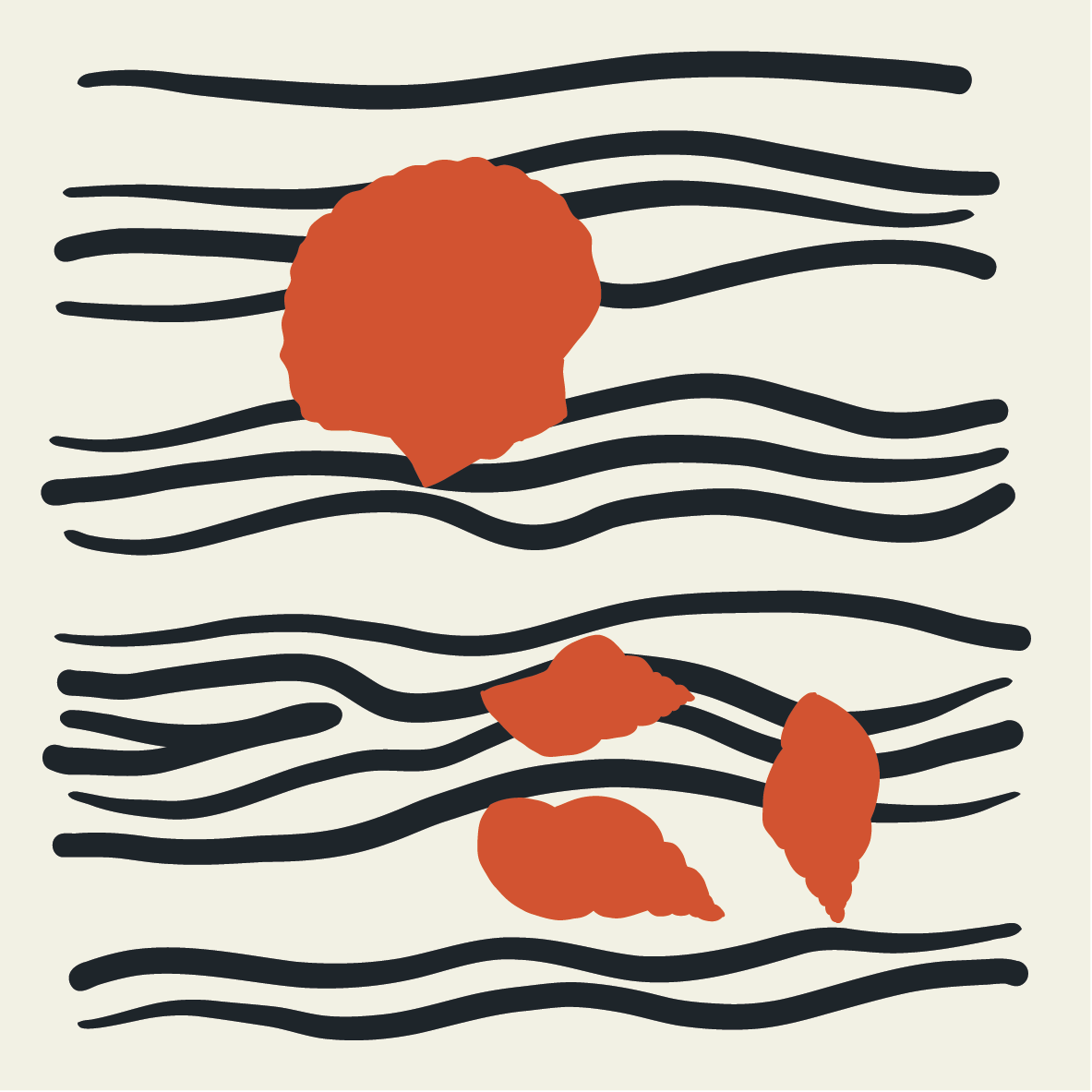 12 Huitres type n°3